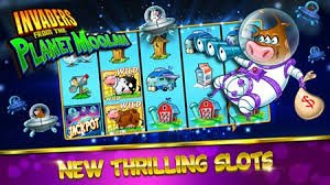 free spins account security and verification process